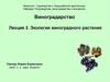 Экология виноградного растения