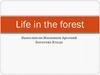 Life in the forest
