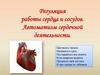 Регуляция работы сердца и сосудов. Автоматизм сердечной деятельности