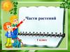Части растений