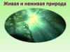 Живая и неживая природа