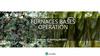 Furnaces bases operation