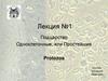 Подцарство Одноклеточные, или Простейшие