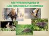 Растительноядняе и насекомоядные животные