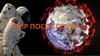 Мир после Covid-19