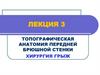 Топографическая анатомия передней брюшной стенки. Хирургия грыж