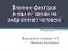 Влияние факторов внешней среды на эмбриогенез человека