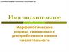 Имя числительное. Склонение порядковых числительных