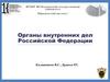 Органы внутренних дел Российской Федерации. Лекция 16