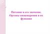 Питание и его значение. Органы пищеварения и их функции