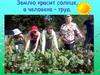 Землю красит солнце, а человека – труд