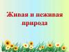 Живая и неживая природа