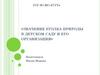 Значение уголка природы в детском саду и его организация