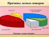Причины лесных пожаров