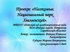 Проект: «Насекомые. Национальный парк Хвалынский»