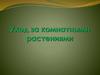 Уход за комнатными растениями. Опрыскивание