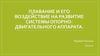 Плавание и его воздействие на развитие системы опорнодвигательного аппарата