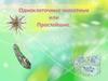 Одноклеточные организмы или Простейшие