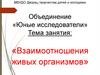 Взаимоотношения живых организмов