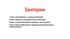 Бактерии. Многообразие и строение бактерий