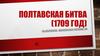 Полтавская битва (1709 год)