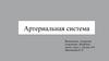 Артериальная система