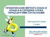Правописание мягкого знака в конце и в середине слова перед другими согласными