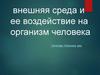 Внешняя среда и ее воздействие на организм человека