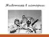 Животные в истории