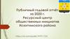 Ресурсный центр общественных инициатив. Публичный годовой отчёт