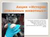 Акция «Истории спасенных животных»