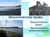 Экологическое право. Экологические правонарушения