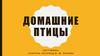 Домашние птицы