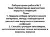 Лабораторная диагностика вирусных инфекций