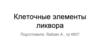 Клеточные элементы ликвора