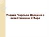 Учение Чарльза Дарвина о естественном отборе