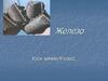 Железо. Характеристика химического элемента железа по его положению в ПСХЭ и строению атома