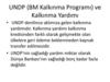 UNDP (BM Kalkınma Programı) ve Kalkınma Yardımı