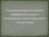 Управление организацией. Дифференциация и интеграция членов трудового коллектива  (тема 2)
