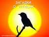 Загадки о птицах