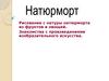 Натюрморт. 7 класс