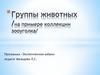 Группы животных