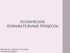 Познавательные психологические процессы