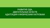 Развитие ода, двигательных качеств адаптация к физическим нагрузкам