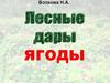 Волкова Н.А.  Лесные ягоды