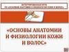 Основы анатомии и физиологии кожи и волос