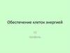 Обеспечение клеток энергией