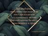 Программа кандидата на пост председателя студенческого актива Высшей школы бизнеса, менеджмента и права Караваевой Каролины