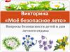 Викторина «Моё безопасное лето»