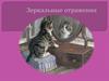 Зеркальные отражения
